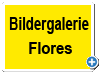 Bildergalerie Flores